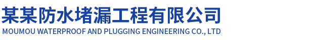 连云港雨中行堵漏工程有限公司