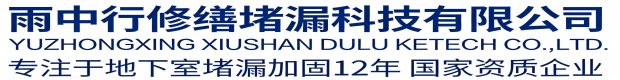 连云港雨中行堵漏工程有限公司